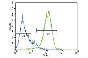 ABCG2 antibody flow cytometric analysis of HepG2 cells (right histogram) compared to a negative control (left histogram) (ABCG2 抗体  (AA 305-335))