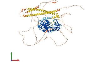 Protein Structure (PS) image for Myosin Light Chain Kinase 3 (MYLK3) (AA 1-795) protein (His tag) (ABIN7563727)