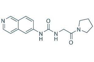 Molecule (M) image for SGC-707 (ABIN7233288)