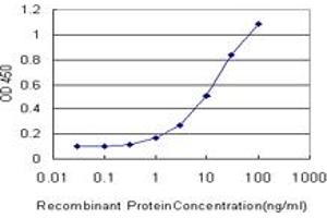 Detection limit for recombinant GST tagged RNPEP is approximately 0. (RNPEP 抗体  (AA 551-650))
