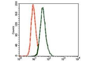 Flow Cytometry (FACS) image for anti-Glutamate Receptor, Ionotropic, AMPA 2 (GRIA2) (AA 652-807) antibody (ABIN969524)
