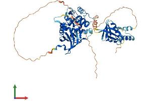 Protein Structure (PS) image for 3-phosphoinositide Dependent Protein Kinase-1 (PDPK1) (AA 1-559) protein (His tag) (ABIN7565293)