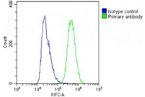 Overlay histogram showing A431 cells stained with C(green line). (IFITM5 抗体  (AA 55-83))