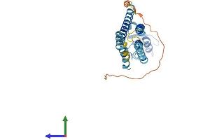 Protein Structure (PS) image for Gap Junction Protein, beta 4, 30.3kDa (GJB4) (AA 1-266) protein (His tag) (ABIN7556872)