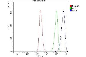 Flow Cytometry analysis of THP-1 cells using anti-Hamartin/TSC1 antibody (ABIN7599499). (TSC1 抗体  (AA 1-618))
