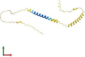 AlphaFold protein structure predicition of Human Recombinant C3orf18 Protein, UniprotID Q9UK00 (C3orf18 Protein (AA 1-162) (His tag))