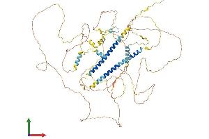 Protein Structure (PS) image for Dapper, Antagonist of beta-Catenin, Homolog 1 (DACT1) (AA 1-778) protein (His tag) (ABIN7564708)