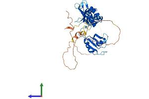 Protein Structure (PS) image for ELAV (Embryonic Lethal, Abnormal Vision, Drosophila)-Like 4 (Hu Antigen D) (ELAVL4) (AA 1-385) protein (His tag) (ABIN7557732)