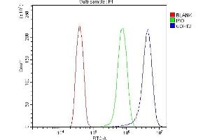 Flow Cytometry analysis of HELA cells using anti-H Cadherin/CDH13 antibody (ABIN7600095). (Cadherin 13 抗体  (AA 149-692))