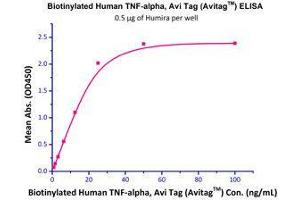 Binding Studies (Bind) image for Tumor Necrosis Factor alpha (TNF alpha) (AA 77-233) (Active) protein (His tag,AVI tag,Biotin) (ABIN2870564)