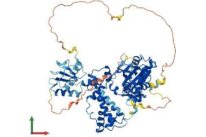 Protein Structure (PS) image for Polymerase (DNA Directed), lambda (POLL) (AA 1-575) protein (His tag) (ABIN7547125)