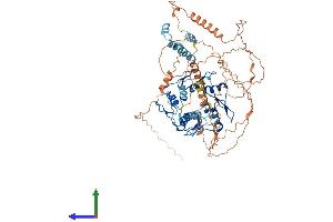 Protein Structure (PS) image for Zinc Finger Protein 510 (ZNF510) (AA 1-683) protein (His tag) (ABIN7545662)