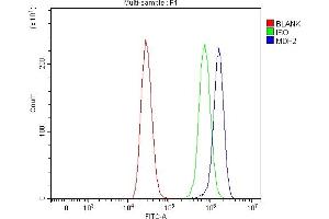 Flow Cytometry analysis of MCF-7 cells using anti-MDH2 antibody (ABIN7602618).