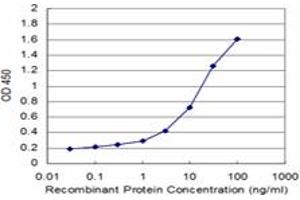 Detection limit for recombinant GST tagged PIGQ is approximately 0. (PIGQ 抗体  (AA 661-758))