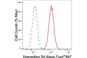 Flow cytometric analysis of homeobox B4 expression in HAP-1 cells using homeobox B4 antibody (ABIN7798992), 1:2,000).