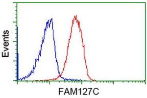 Flow cytometric Analysis of Jurkat cells, using anti-FAM127C antibody (ABIN2454041), (Red), compared to a nonspecific negative control antibody, (Blue). (FAM127C 抗体)