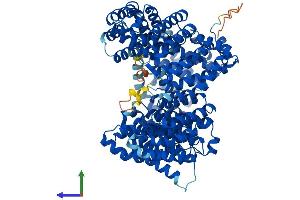 AlphaFold protein structure predicition of Mouse Recombinant Ipo13 Protein, UniprotID Q8K0C1