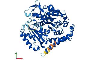 Protein Structure (PS) image for Tubulin, beta 2B (TUBB2B) (AA 1-445) protein (His tag) (ABIN7560662)