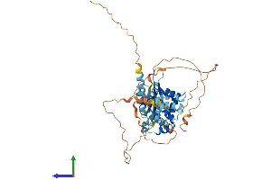 Protein Structure (PS) image for GA Binding Protein Transcription Factor, alpha Subunit 60kDa (GABPA) (AA 1-454) protein (His tag) (ABIN7547844)