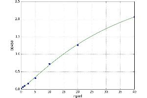 Lipase, Endothelial (LIPG) ELISA Kit