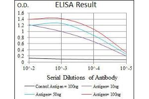 Black line: Control Antigen (100 ng), Purple line: Antigen(10 ng), Blue line: Antigen (50 ng), Red line: Antigen (100 ng), (Doublecortin 抗体  (AA 362-411))