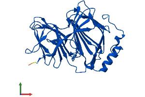 Protein Structure (PS) image for Pirin (PIR) (AA 1-290) protein (His tag) (ABIN7561063)