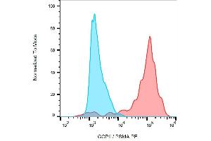 Surface staining (flow cytometry) of GCPII / PSMA using anti-GCPII (GCP-05) PE on LNCaP cell line. (PSMA 抗体  (AA 44-750) (PE))