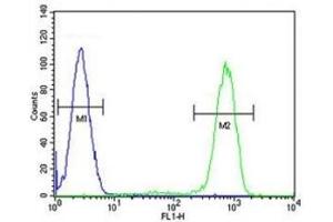 Caspase-12 antibody flow cytometric analysis of HL-60 cells (right histogram) compared to a negative control cell (left histogram).