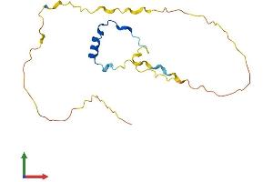 Protein Structure (PS) image for Cbp/p300-Interacting Transactivator, with Glu/Asp-Rich Carboxy-terminal Domain, 4 (CITED4) (AA 1-182) protein (His tag) (ABIN7556282)
