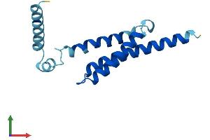 AlphaFold protein structure predicition of Human Recombinant MPC2 Protein, UniprotID O95563