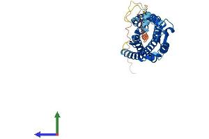Protein Structure (PS) image for Complement Component 5a Receptor 1 (C5AR1) (AA 1-351) protein (His tag) (ABIN7563102)