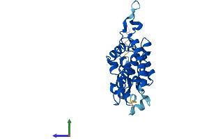 Protein Structure (PS) image for Chloride Intracellular Channel 2 (CLIC2) (AA 1-247) protein (His tag) (ABIN7546562)
