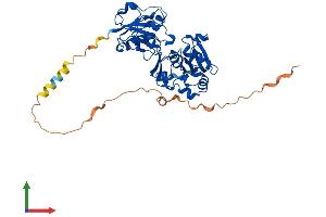 AlphaFold protein structure predicition of Mouse Recombinant Fut7 Protein, UniprotID Q11131