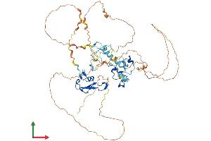 Protein Structure (PS) image for Methyl-CpG Binding Domain Protein 1 (MBD1) (AA 1-605) protein (His tag) (ABIN7554471)