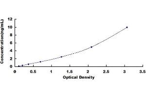 Typical standard curve (UBR1 ELISA 试剂盒)