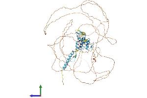 Protein Structure (PS) image for Zinc Finger Protein 828 (ZNF828) (AA 1-812) protein (His tag) (ABIN7553429)