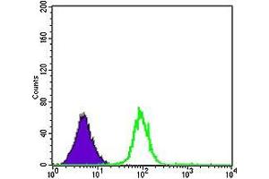 Flow Cytometry (FACS) image for anti-Cyclin-Dependent Kinase 5 (CDK5) antibody (ABIN969041)