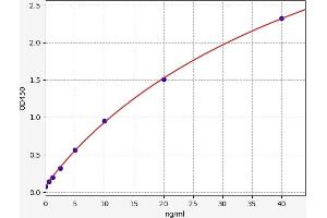 Typical standard curve (Ferritin Mitochondrial ELISA 试剂盒)