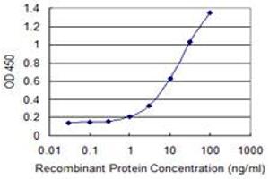 Detection limit for recombinant GST tagged ARPC4 is 0. (ARPC4 抗体  (AA 1-110))