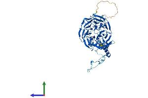Protein Structure (PS) image for Cell Division Cycle 40 (CDC40) (AA 1-579) protein (His tag) (ABIN7550940)