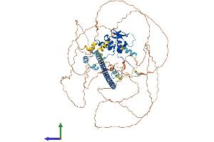 AlphaFold protein structure predicition of Human Recombinant BACH1 Protein, UniprotID O14867