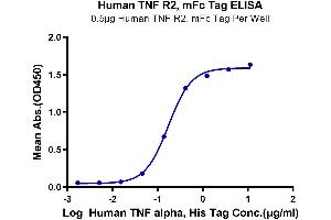 Immobilized Human TNFR2 at 5 μg/mL (100 μL/Well).