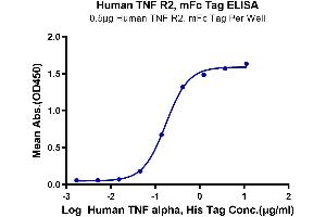 Immobilized Human TNFR2 at 5 μg/mL (100 μL/Well). (TNFRSF1B Protein (mFc Tag))