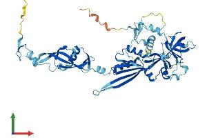 Protein Structure (PS) image for 60S Ribosomal Export Protein NMD3 (NMD3) (AA 1-503) protein (His tag) (ABIN7549887)