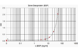 ELISA standard curve showing measurement of human BSP in a sandwich immunoassay using ABIN109798 as capture antibody and ABIN109798 as detection antibody. (BSP 抗体)