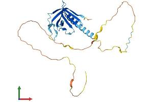 Protein Structure (PS) image for NECAP Endocytosis Associated 2 (NECAP2) (AA 1-266) protein (His tag) (ABIN7560887)