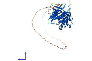 Protein Structure (PS) image for Fibrillarin (FBL) (AA 1-327) protein (His tag) (ABIN7563176)