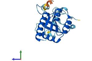 AlphaFold protein structure predicition of Mouse Recombinant Cenpm Protein, UniprotID Q9CQA0