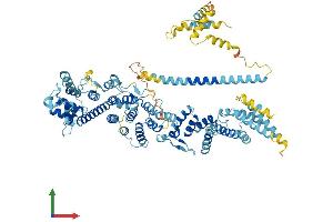 Protein Structure (PS) image for Nucleoporin 93kDa (NUP93) (AA 1-819) protein (His tag) (ABIN7550409)