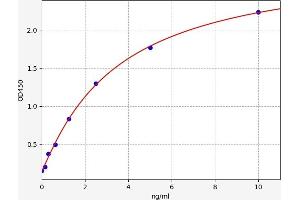 PDE1C ELISA 试剂盒